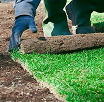 lawn renovation